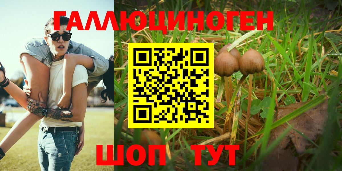 Псилоцибиновые грибы Magic Shrooms  Вход с VPN  даркнет сайт  Кыштым 